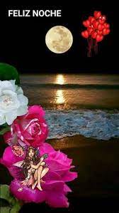 Resultado De Imagen De Imagenes Bellas De Buenas Noches En 2021 Saludos De Buenas Noches Mensajes De Buenas Noches De Amor Saludos De Buenas Tardes
