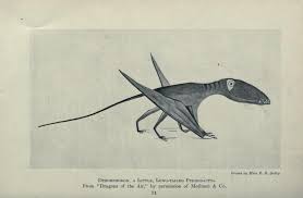 From Animals Of The Past By Medical Heritage Library Http Flic Kr P Hvcxp3 Historical Illustration Scientific Illustration Cool Tattoo Drawings