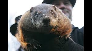 It derives from the pennsylvania dutch superstition that if a. Groundhog Day 2020 Punxsutawney Phil Doesn T See Shadow Predicts Early Spring Wnep Com
