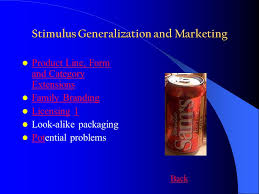 Learning And Memory Ppt Download