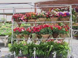 Find flowers lancaster, pa, locals would love on kremp.com! Leabrook Flowers 2348 Leabrook Rd Lancaster Pa 17601 Usa