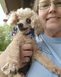 Let's welcome our new members: Patricia Casey Levesque, Teacup Poodle  Puppies For Adoption , Catherine Toti, Charlene Erasmus, Joseph Gheraldi,  Janet Jewell, Jennifer Anderson, Curls from Garden of Eden Parti Poodle  Kennel,