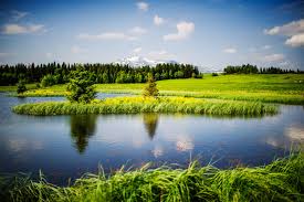 スウェーデン 夏