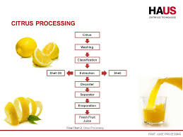 Process Flow Diagram Orange Juice Juice Production Fruit
