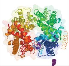 Myosin - Proteopedia, Life In 3D