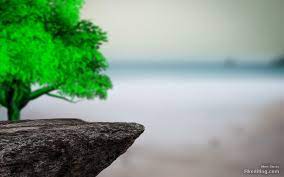 Home » special background » background hd images for photoshop editing. 2018 New Hd Cb Backgrounds Photoshop Dslr Background Images Blur Photo Background Background Images