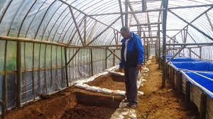 Plastik Uv Untuk Kolam Ikan Infoakuakultur Com