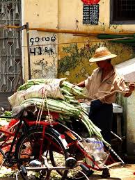 Rangoon Man Burma Burma Myanmar Burma Rangoon