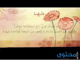 معنى اسم شهد في القران