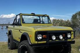Image result for Dark Pine 1980 Bronco