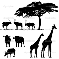 African Animals Vector Silhouettes Elefante Africano Rei Leao Desenho Africano