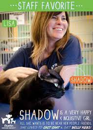 Lisa An Austin Humane Society Adoption Counselor Loves Shadow Because She Is So Upbeat And Curious Cat Adoption Humane Society Adoption Humane Society