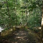 Let's Go Orienteering