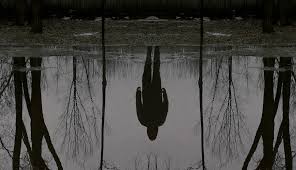 Amedia Premium Amedia Tv