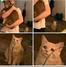 Maybe you would like to learn more about one of these? Jealous Meme Templates Imgflip