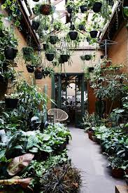 The Plant Society All Things Green Inside Garden Bathroom Plants Plant Nursery