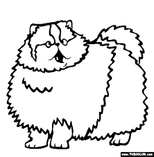 Click the persian cat coloring pages to view printable version or color it online (compatible with ipad and android tablets). Persian Cat Online Coloring Page