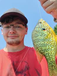 3 weight at my local pond. I used a frenchie and caught this monster!