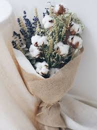 Pin On Dried Flowers