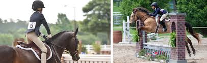 Brand new adventure first horse show. Outreach Ushja