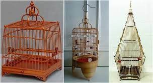 Jika menang harga burung puyuh dari tiga ribu rupiah naik hingga 250 ribu. Sangkar Burung Pleci Lomba Contoh Lif Co Id