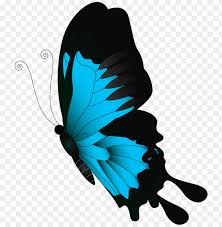 Due to their rarity, seeing one of these butterflies means also luck. Download Blue Flying Butterfly Png Clipart Png Photo Toppng