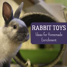 Keeping your rabbit's messes off the floor can be a pain. Bunny Diy How To Make Your Own Homemade Rabbit Toys Pethelpful