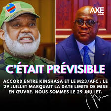 Dans l'accord de Doha entre le gouvernement congolais et l'AFC/M23, les  parties se sont engagées à « mettre en œuvre les dispositions de la  Déclaration de principes immédiatement après sa signature, et