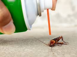 There are different kinds of environmental pollution: What Areas Of The Country Have The Fewest Pests