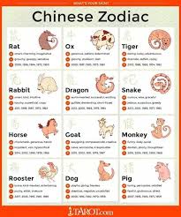 Chinese Astrology Chinesenumerology Chinese Astrology Chinese Zodiac Signs Chinese Zodiac Rat