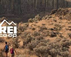 Image of REI website