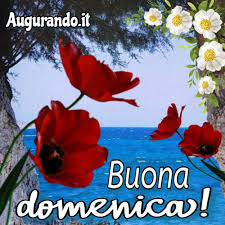 Buona domenica da candida #sportingclub #candida #relax Immagini Fantastiche Per Una Buona Domenica Sempre Aggiornate
