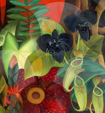 32 dessins de fleurs tropicales à découvrir. In An Iridescent Land Abstract Flowers Tropical Painting Spirited Art