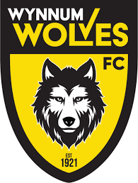 A huge summer ahead for walsall. New Decade New Logo New Look New Energy Wynnum Wolves Fc