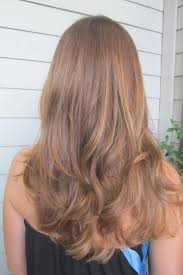 Top Honey Blonde Hair Color Chart Photos Of Hair Color Tips
