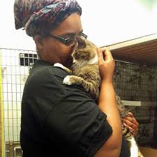 • providing food, water and dog houses for needy animals. Felv Positive Adoption Program Profile Series Kc Pet Project