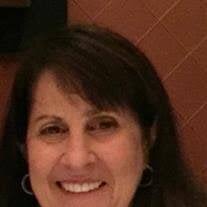 Janice Dine Levin Obituary