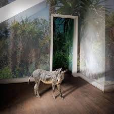 animal instincts create art watercolor art original image