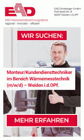 Trend Google: schule