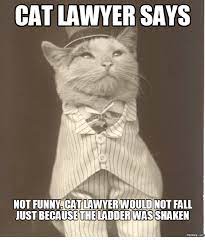 With that, awl rise, foar the honerubble judj whiskers! Cat Lawyer Says Not Funny Cat Lawyer Would Not Fall Justbecausetheladder Was Shaken Comm Fall Meme On Me Me