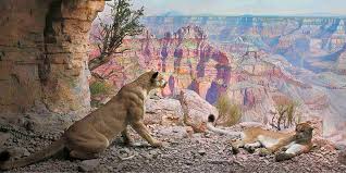 Digital Backgrounds For Meetings Dinosaurs And Dioramas Amnh