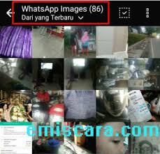 Lalu ketuk tombol tambah dan otomatis stiker wa buatanmu cara mudah membuat gif sendiri di whatsapp, gampang banget! Cara Agar Gambar Dan Video Tidak Tersimpan Ke Galeri Whatsapp Emiscara Com