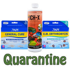 Quarantine Meds Trio Aquarium Fish Pet Care