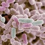  The CDC Is Investigating an E. Coli Outbreak Across 7 States