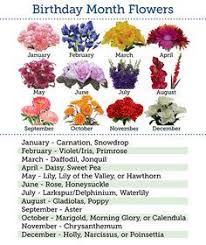 November Birth Flower Jonquil Birth Flower Jonquil November Birth Flower Tattoos Birth Flowers November Birth Flower