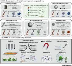 Static images cannot reveal the biogenesis of pleomorphic cellular forms, their content, or their relevance in propagation. Nanoparticle Mediated Delivery Towards Advancing Plant Genetic Engineering Trends In Biotechnology