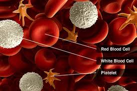Maybe you would like to learn more about one of these? Blood Cancer Types Leukemia Lymphomas Myelomas And More