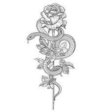 Snake biting hand tattoo (snake handshake) this design involves the head of a snake, with its fangs sunken in a human hand. Snake Rose Vector Images Over 470