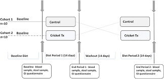 Impact Of Edible Cricket Consumption On Gut Microbiota In