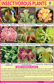 Insectivorous Plants Plants School Posters Garden